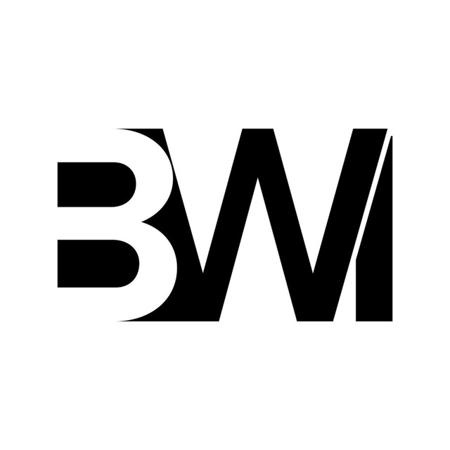 BWI Build Wise Investments logo
